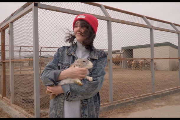 still / picture for İnsanlar və Sürünənlər