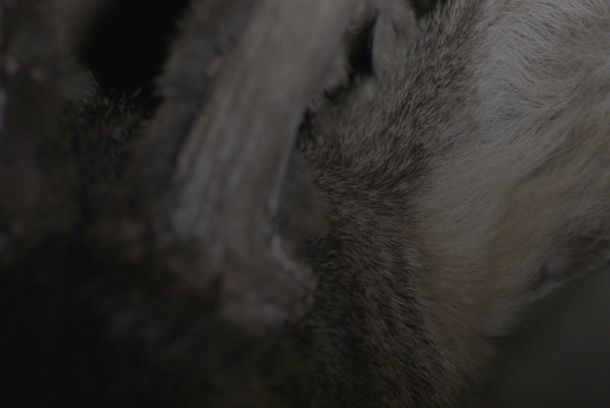 still / picture for We Wander