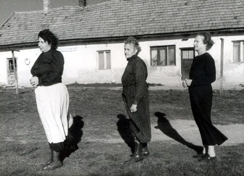 still / picture for Szél (Wind)
