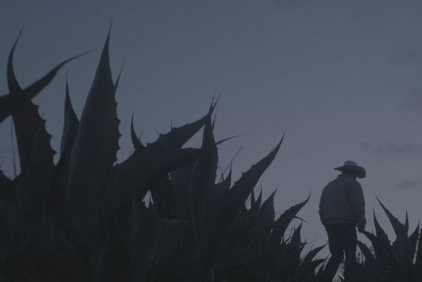 still / picture for Meyolotl