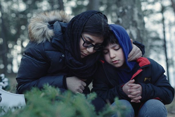 still / picture for Drzewa milczą