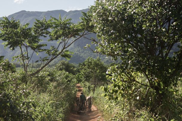 still / picture for Los caminos de cuba 