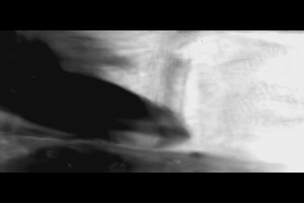 still / picture for La mujer y el pescado