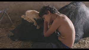 still / picture for The American Bull