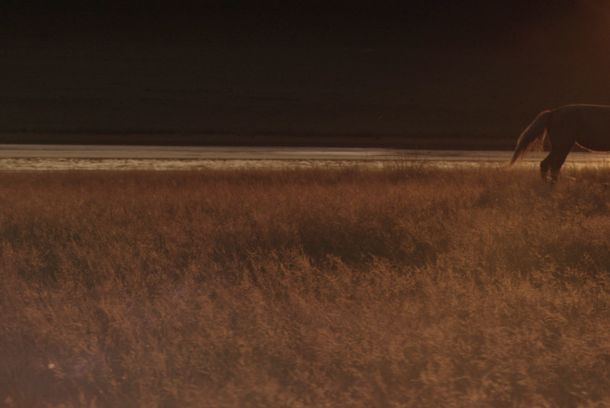 still / picture for ШАРГА ДААГА