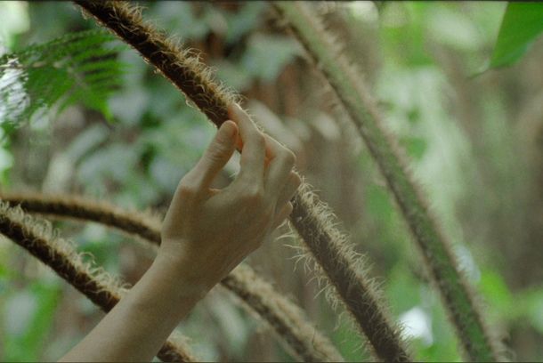 still / picture for Estados Generales