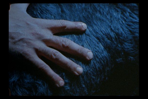 still / picture for Asterión