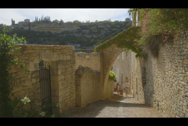 still / picture for Wasp