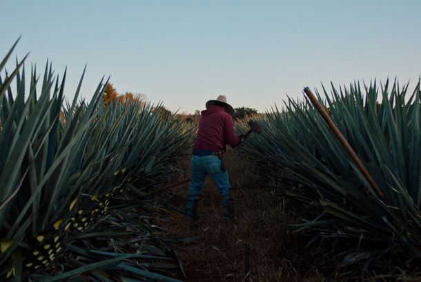 still / picture for Dos Estaciones