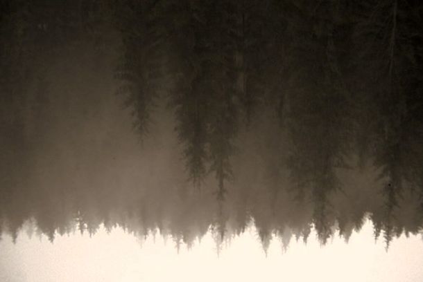 still / picture for km 43.3 Der transsylvanische Holzfall