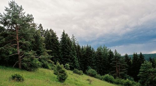 still / picture for Heimat, eine Suche