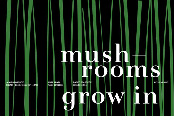 still / picture for Mushrooms Grow in Memory