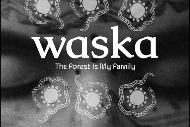 still / picture for Waska: El bosque es mi familia