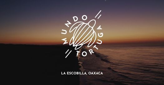 still / picture for Mundo Tortuga