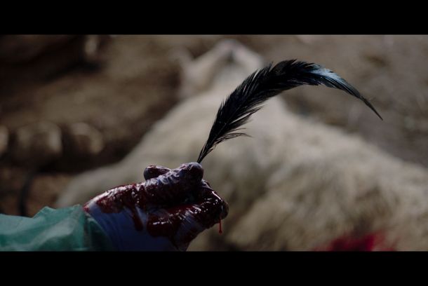 still / picture for Iskioma