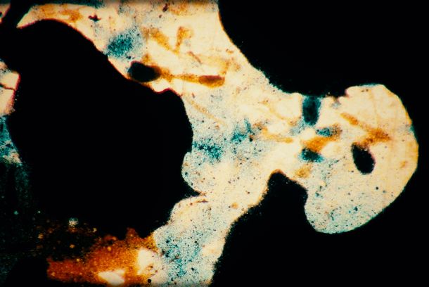 still / picture for Color Negative
