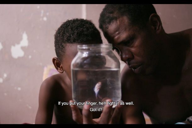 still / picture for Four Winters in Edificio Cuba