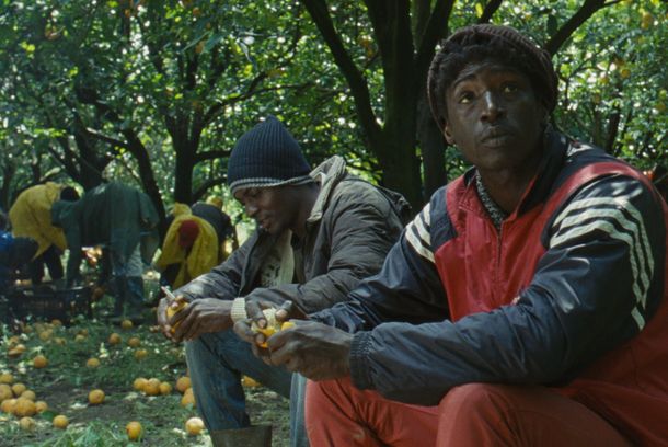 still / picture for Mediterranea 