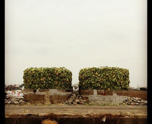 still / picture for Preserves
