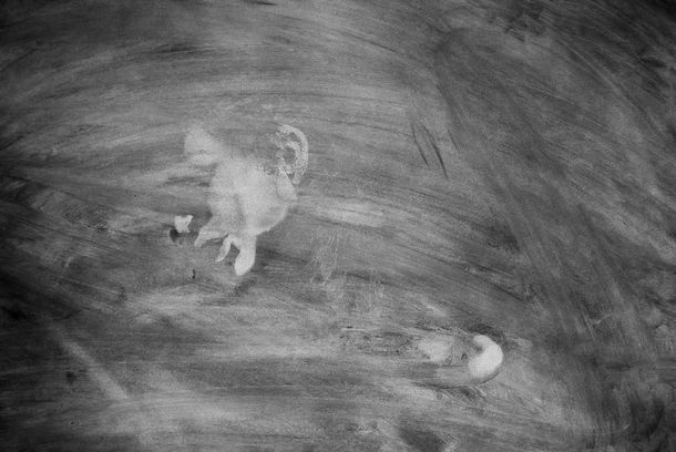 still / picture for The Body