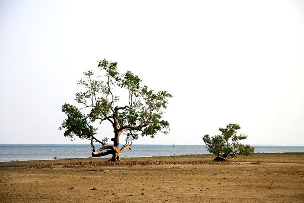 still / picture for Still Life
