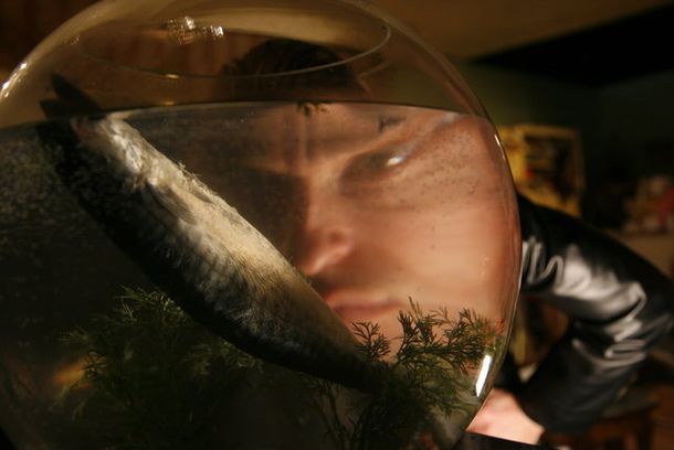 still / picture for Worm