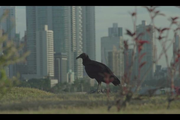 still / picture for ARYSTEIDES