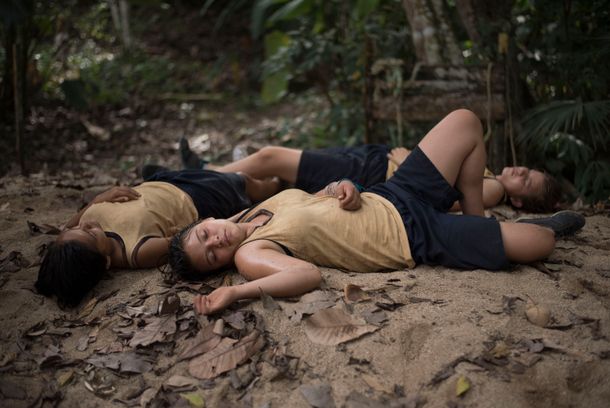 still / picture for Damiana