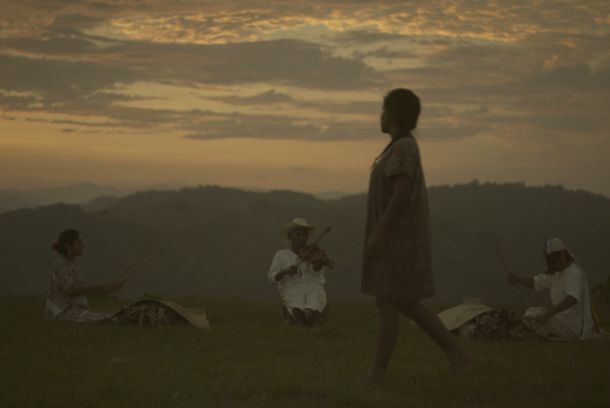 still / picture for FLORES DE LA LLANURA
