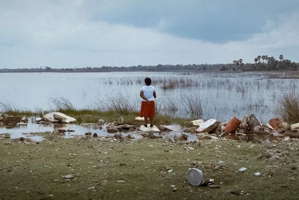 still / picture for Scars