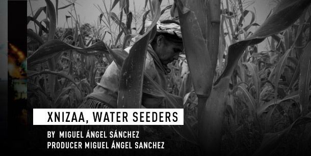 still / picture for XNIZAA, SEMBRADORES DE AGUA
