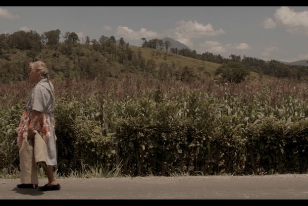 still / picture for Tiempo de Bagazo