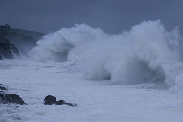 still / picture for FROM THE WILD SEA