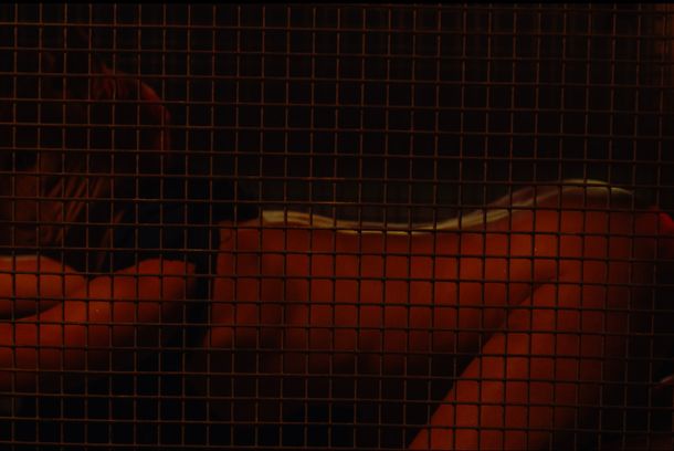 still / picture for BOOGIEHEADS