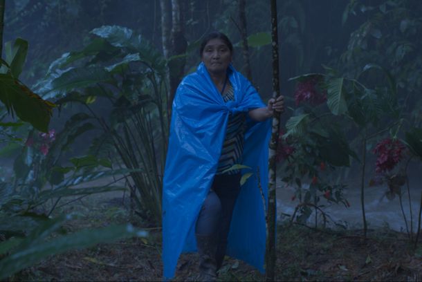 still / picture for Pobo 'Tzu' - La noche blanca