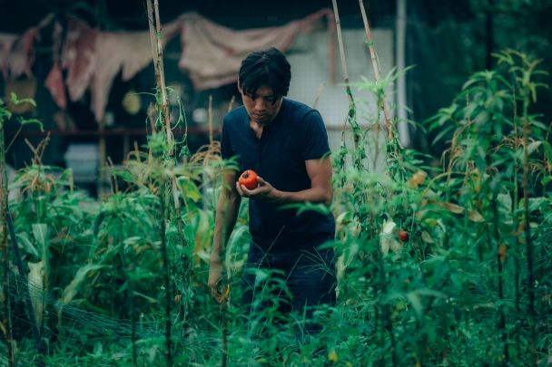 still / picture for 蕃茄田