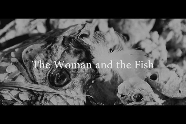 still / picture for La mujer y el pescado