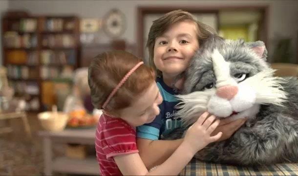 still / picture for Cat Sleepyhead Tales