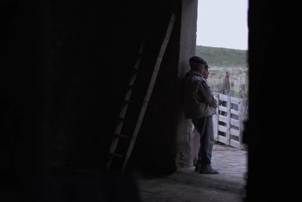 still / picture for Comparsa
