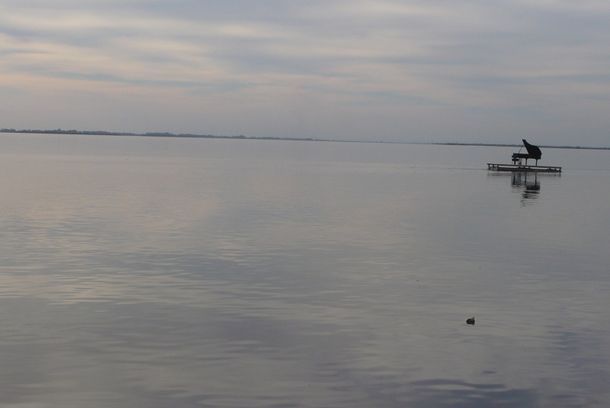 still / picture for What are you looking for