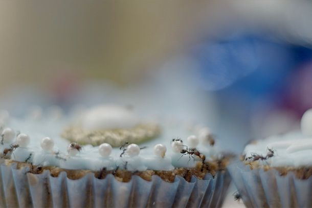 still / picture for MÁS FÁCIL SOÑARLA VIVA