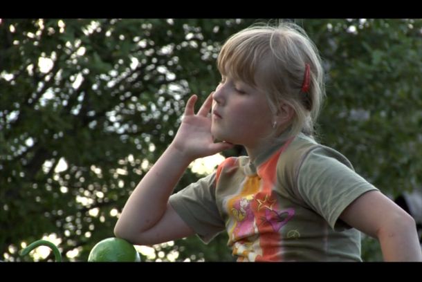 still / picture for Summer with Mosquitoes