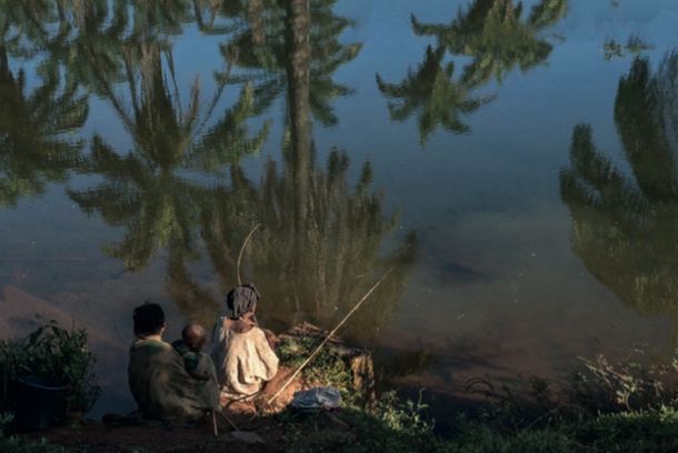 still / picture for Pfeifferia