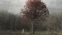 still / picture for reel 2013