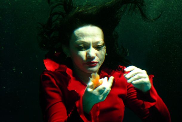 still / picture for Auquanauten