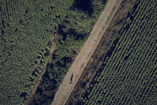 still / picture for Love Land