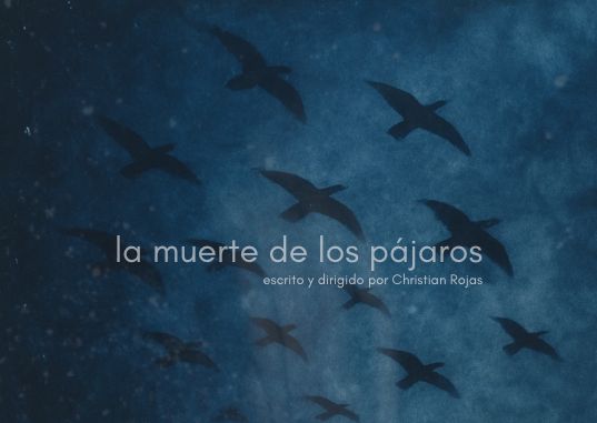 still / picture for La Muerte de los Pájaros