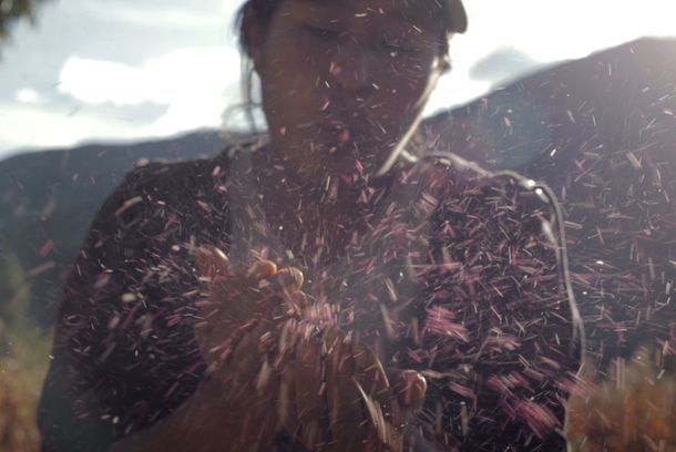 still / picture for Sembradoras de vida