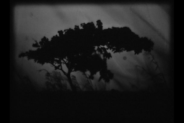 still / picture for Frenesi