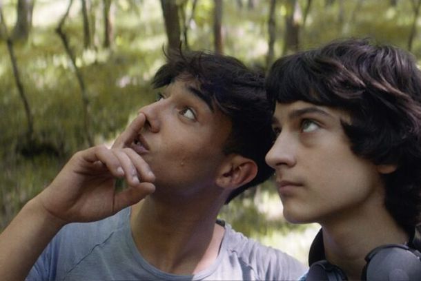 still / picture for Come le lumache